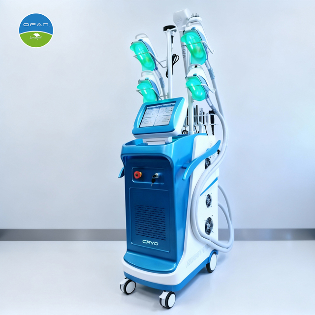 Vertical Cryolipolysis Machine for Basic Body Shaping