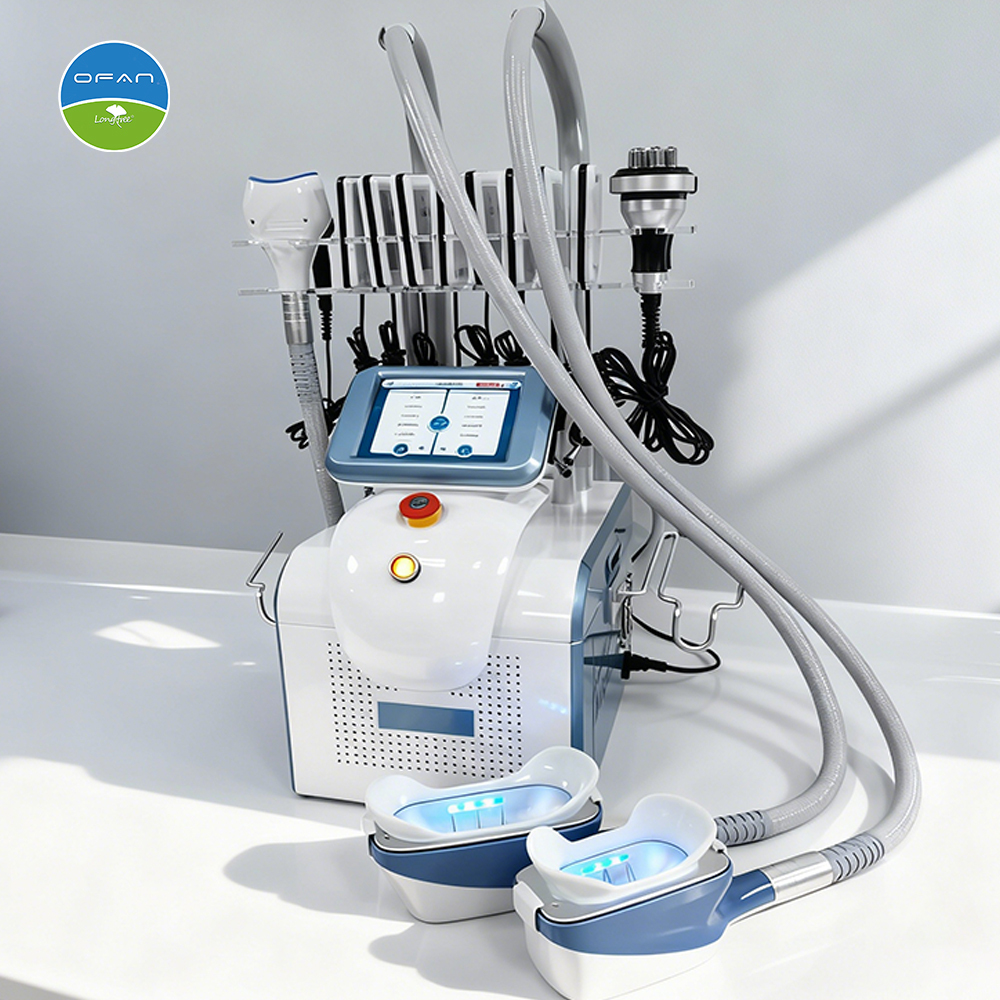 Compact Cryolipolysis Machine LT-CR02 | Portable Slimming Equipment