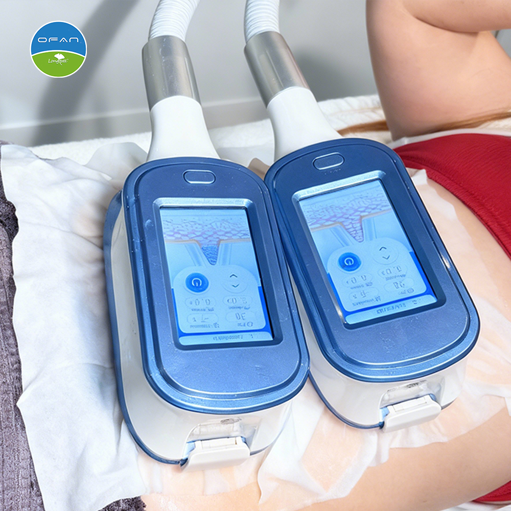 Compact Cryolipolysis Machine LT-CR02 | Portable Slimming Equipment
