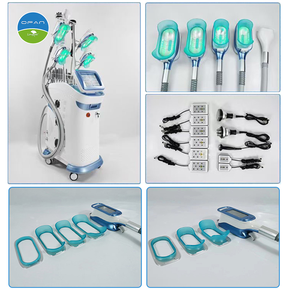 Vertical Cryolipolysis Machine | Slimming Device | OFAN