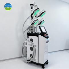 Vertical Cryolipolysis Slimming Machine for Body Contouring