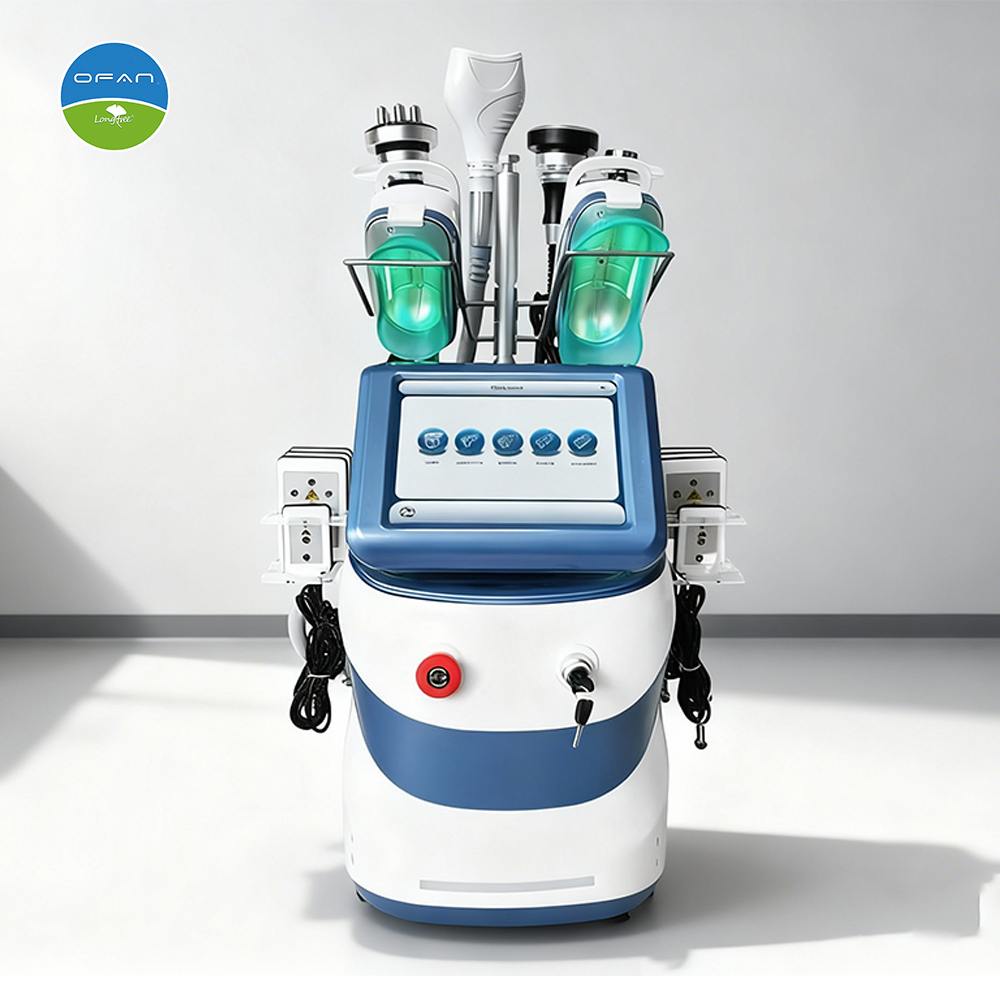 Portable Cryolipolysis Machine LT-CR13 | Compact 360 Body Contouring Device