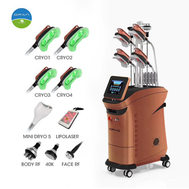 Vertical Cryolipolysis Machine for Professional Slimming Treatments