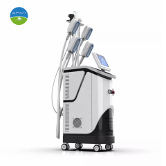 Vertical Cryolipolysis 360 Cryo Machine with Multi Technologies