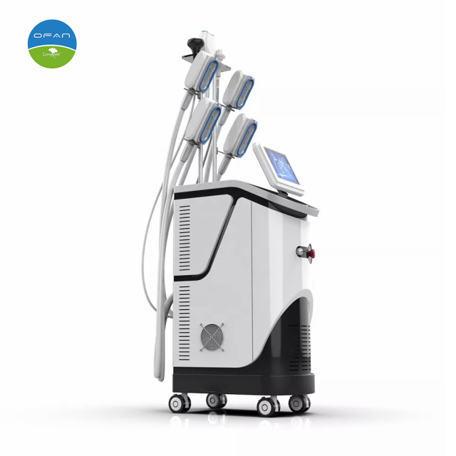 Vertical Cryolipolysis 360 Cryo Machine with Multi Technologies