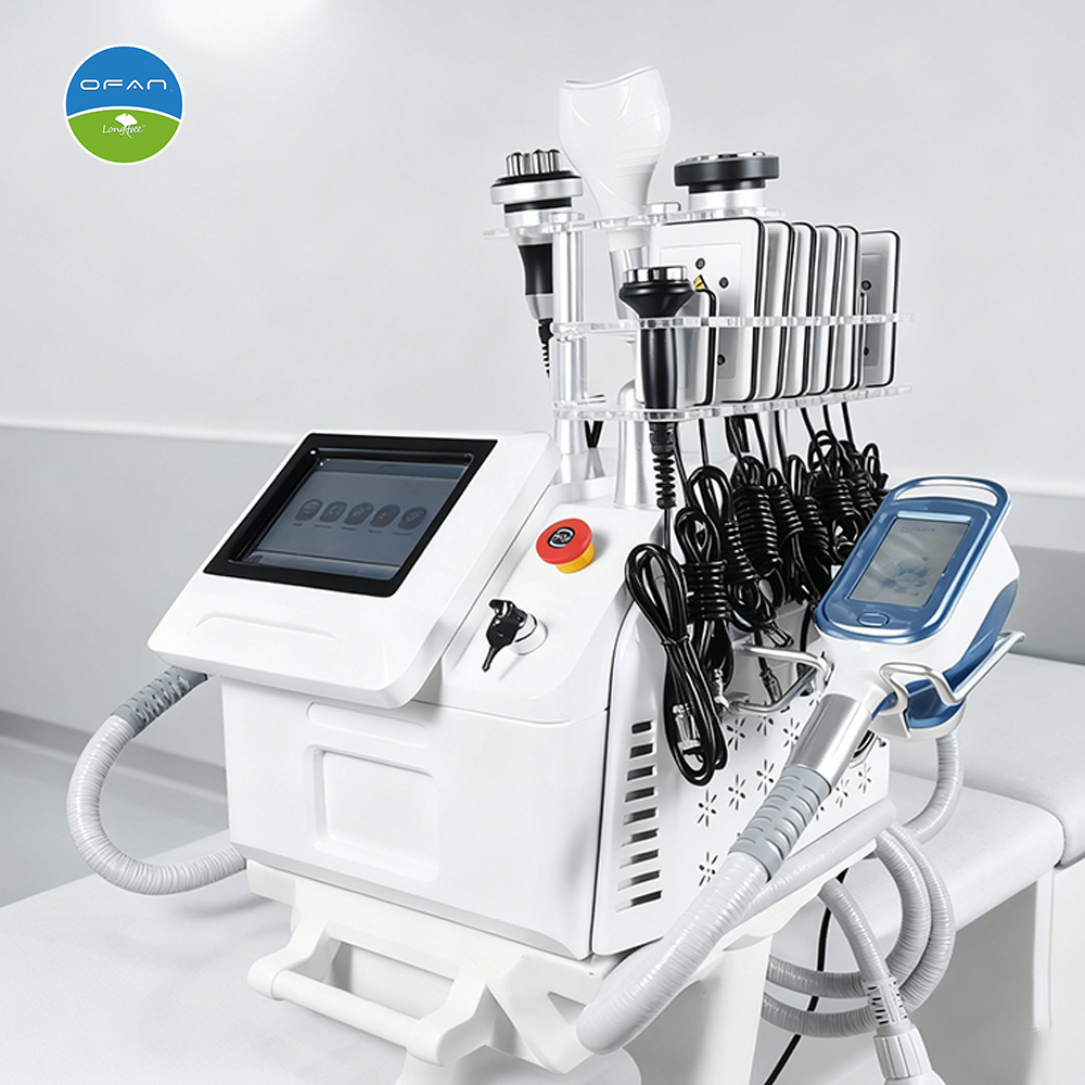 Portable Cryolipolysis Machine LT-CR17 | Professional Slimming Device