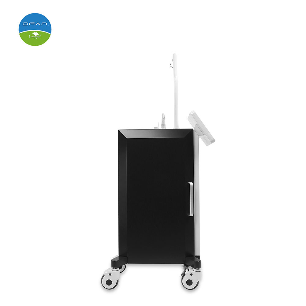 Stationary RF Microneedling Professional Beauty Machine