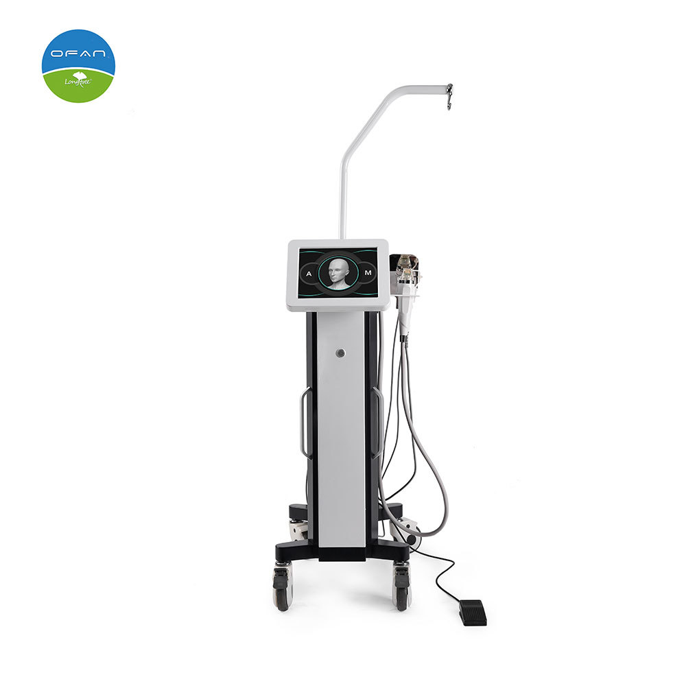 Vertical 3 In 1 RF Microneedling Acne Removal Machine