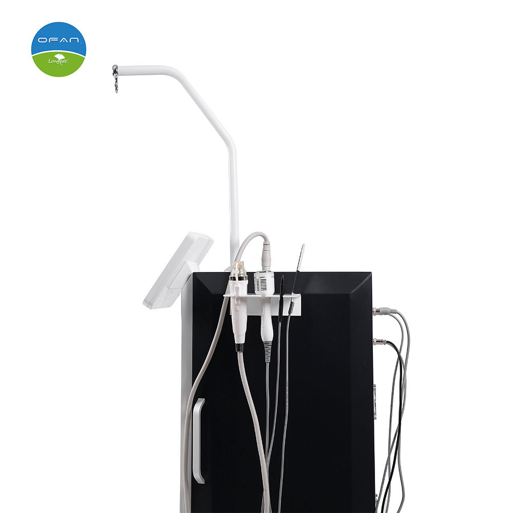 Vertical 3 In 1 RF Microneedling Acne Removal Machine