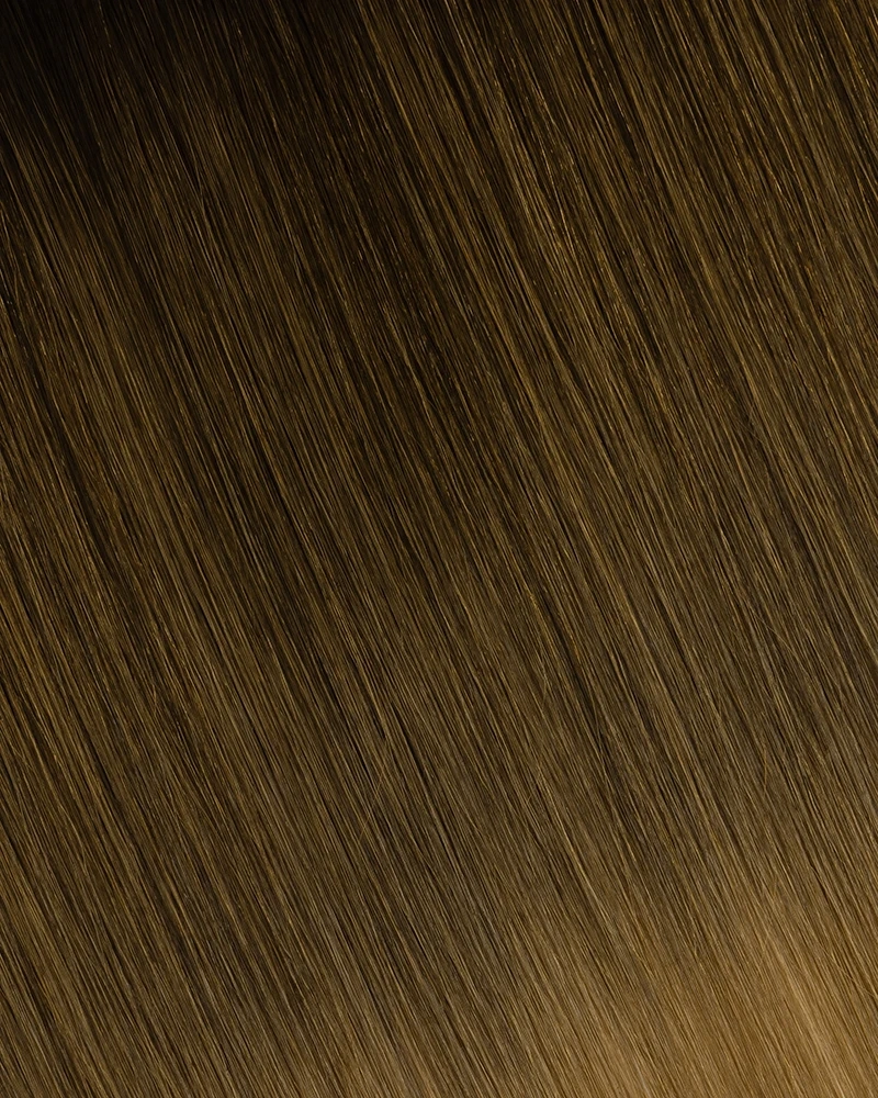 Tape In-Dark Brown/Chestnut Brown (B#2/6)