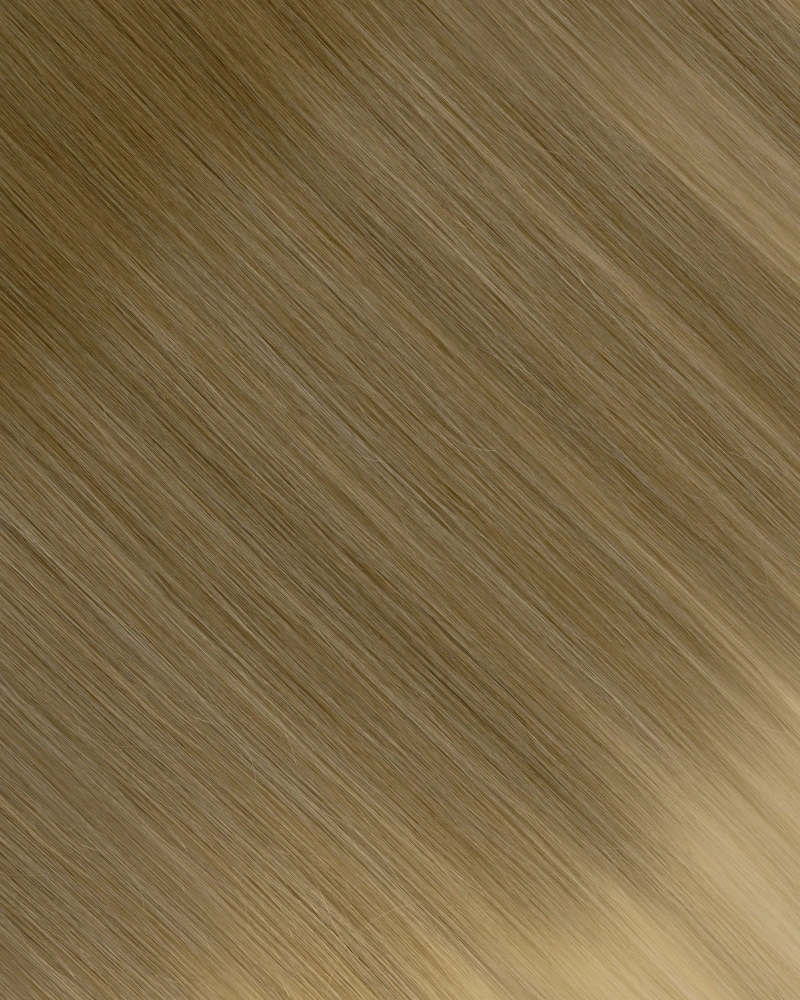 Tape In-Ash Brown/Ash Blonde (B#8/60)
