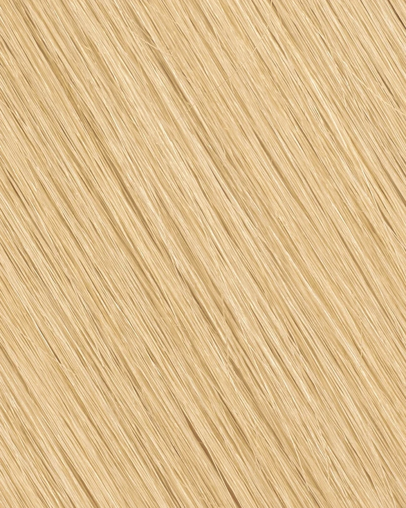 Tape In-Dirty Blonde (#18)