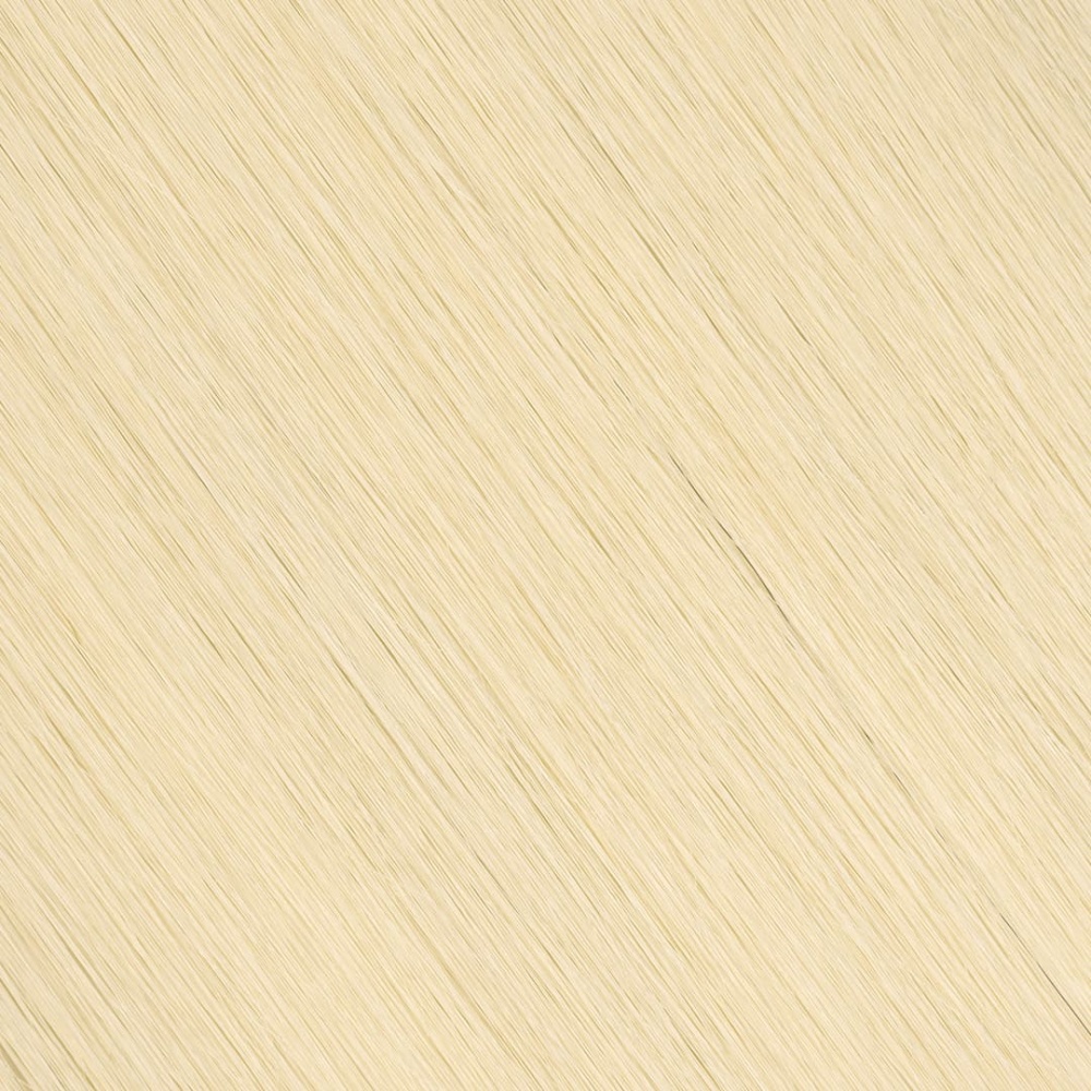 Tape In-Ash Blonde (#60)