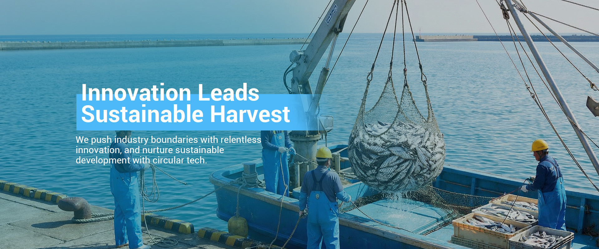 Commercial fishing net solutions for sustainable marine harvesting