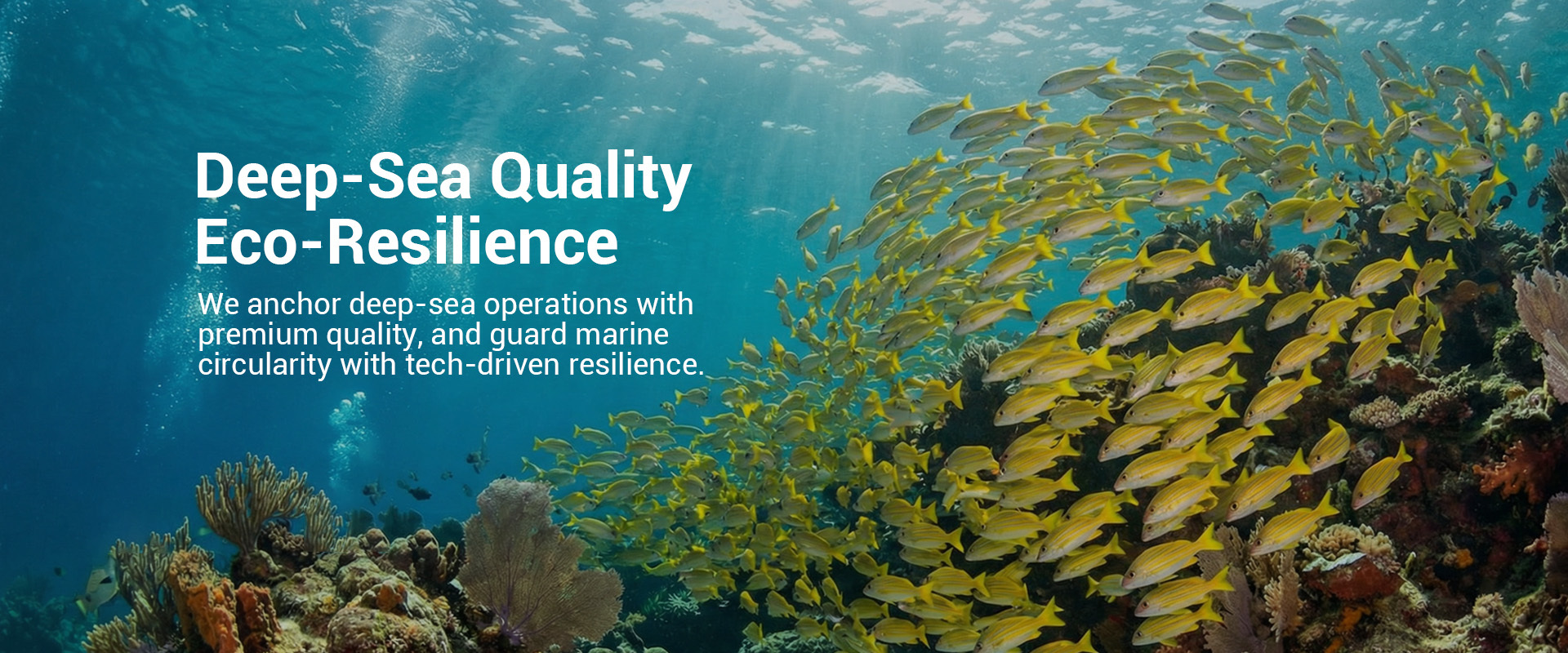 Durable fishing nets designed for deep-sea operations and marine ecosystems