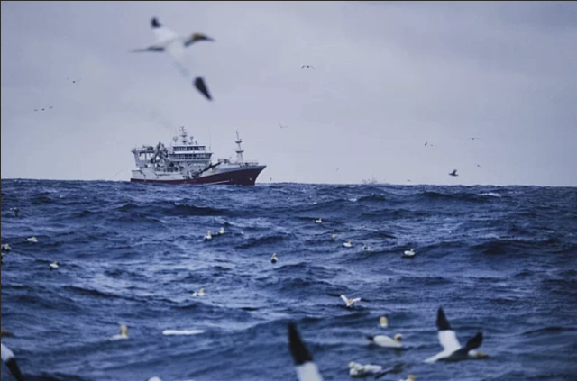PE trawl netting built for high-speed Spanish mackerel trawling