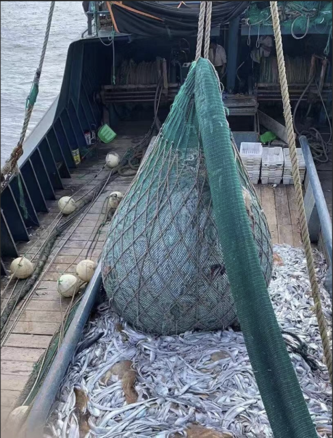 Yellow Sea squid trawl net built with PE multifilament netting