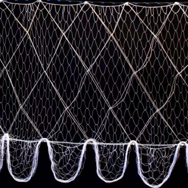 Custom PE Gill Net,Custom Gill Net Manufacturer | PE Fishing Gill Net Supplier,PLFISHERY