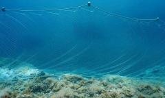 Custom PE Gill Net,Custom Gill Net Manufacturer | PE Fishing Gill Net Supplier,PLFISHERY