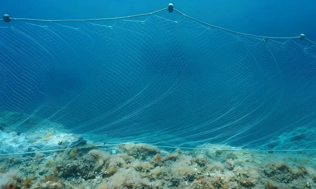 Custom PE Gill Net,Custom Gill Net Manufacturer | PE Fishing Gill Net Supplier,PLFISHERY