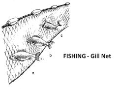 Custom PE Gill Net,Custom Gill Net Manufacturer | PE Fishing Gill Net Supplier,PLFISHERY