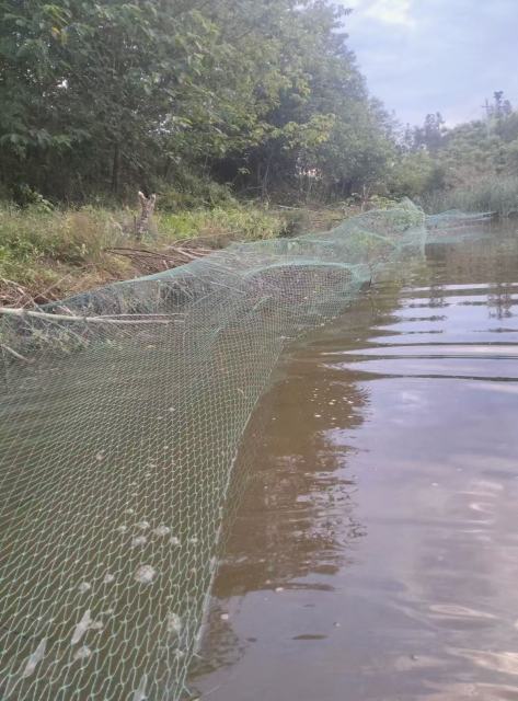 Custom Pool Net,Pool Safety Net Manufacturer | PE Pool & Pond Protection Net,PLFISHERY