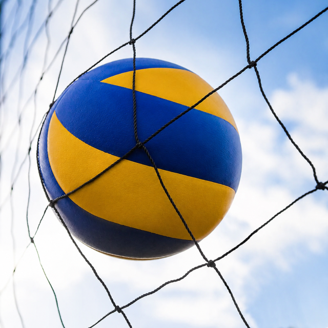 Custom Volleyball Net,Volleyball Net Manufacturer | PE Volleyball Netting,PLFISHERY
