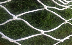 Custom Soccer Goal Net,Soccer Goal Net Manufacturer | PE Football Goal Netting,PLFISHERY