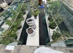 Custom Anti-Bird Net,UV-Resistant Tailor-made Bird Netting - Agriculture Netting Suppliers,PLFISHERY
