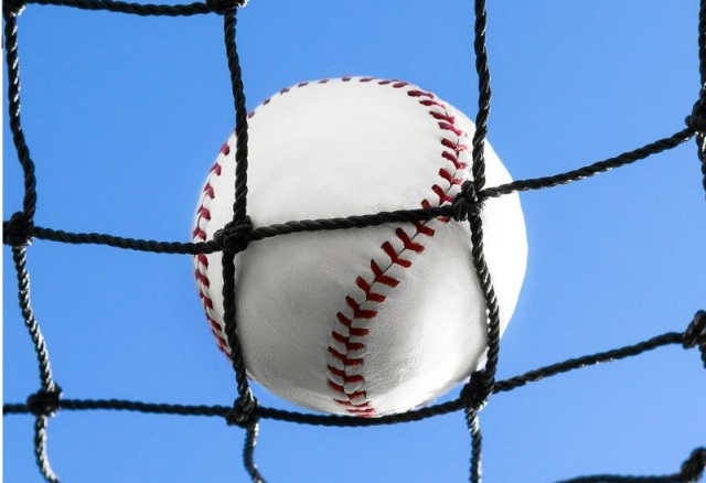 Custom Baseball Batting Cage Net,Baseball Batting Cage Net Manufacturer | PE Batting Cage Netting,PLFISHERY