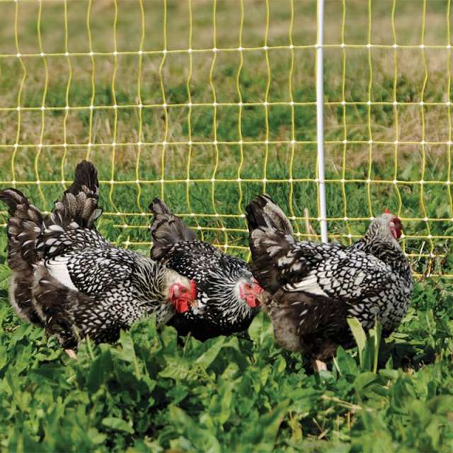 Custom Chicken Net,Chicken Net Manufacturer | Poultry, Farm & Garden Netting,PLFISHERY