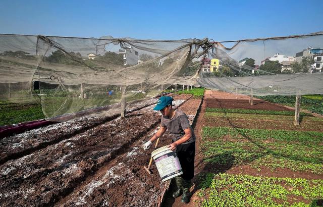Custom Anti-Bird Net,UV-Resistant Tailor-made Bird Netting - Agriculture Netting Suppliers,PLFISHERY