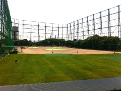 Custom Golf Net,Golf Net Manufacturer | PE Golf Practice & Driving Range Netting,PLFISHERY