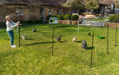 Custom Chicken Net,Chicken Net Manufacturer | Poultry, Farm & Garden Netting,PLFISHERY