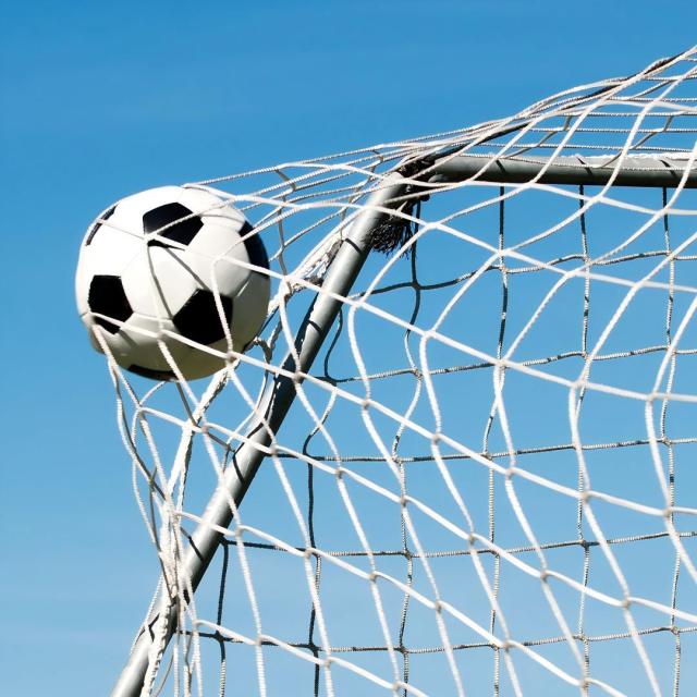 Custom Soccer Goal Net,Soccer Goal Net Manufacturer | PE Football Goal Netting,PLFISHERY