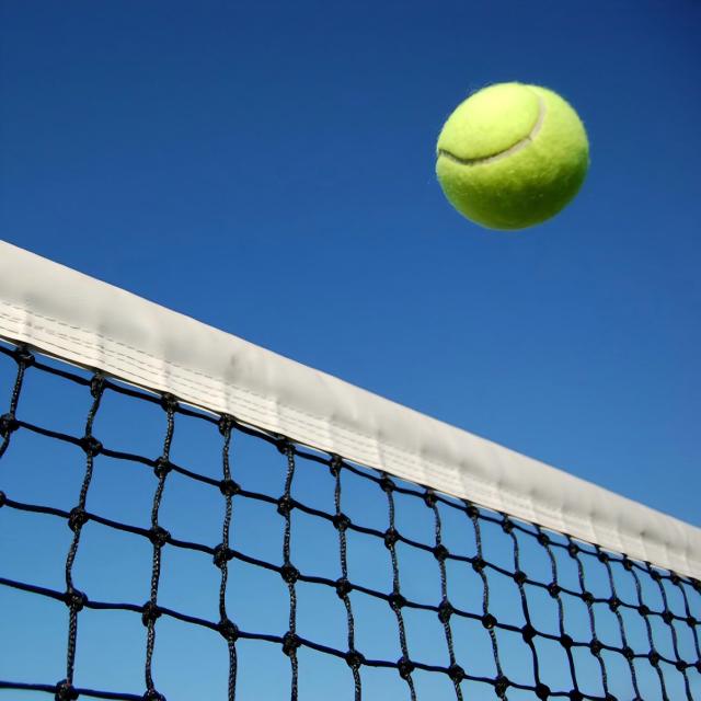 Custom Tennis Net,Tennis Net Manufacturer | PE Tennis Court Netting,PLFISHERY