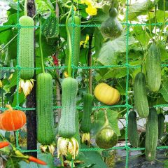 Custom Trellis Net,Trellis Net Manufacturer | PE Plant Support Netting,PLFISHERY