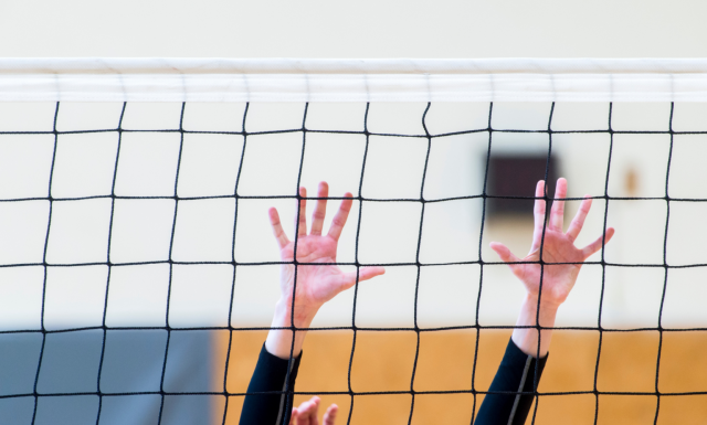 Custom Volleyball Net,Volleyball Net Manufacturer | PE Volleyball Netting,PLFISHERY