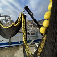 Deep-Water Bag Seine Net,Deep-Water Bag Seine Net Manufacturer | Custom Light Fishing Net,PLFISHERY