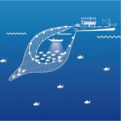 Deep-Water Bag Seine Net,Deep-Water Bag Seine Net Manufacturer | Custom Light Fishing Net,PLFISHERY