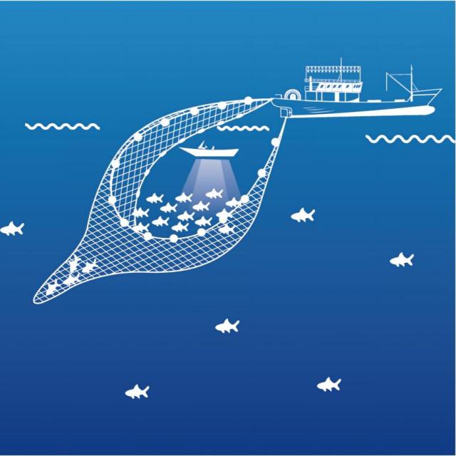 Deep-Water Bag Seine Net,Deep-Water Bag Seine Net Manufacturer | Custom Light Fishing Net,PLFISHERY