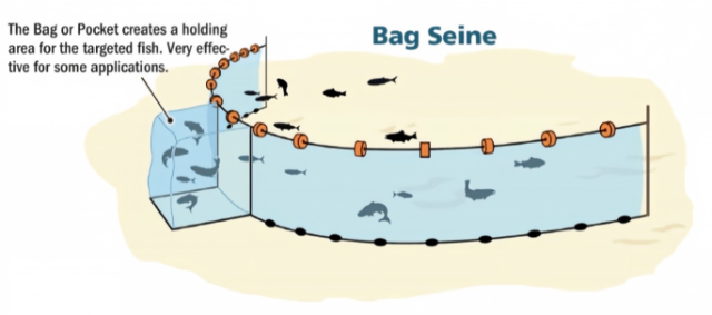 Deep-Water Bag Seine Net,Deep-Water Bag Seine Net Manufacturer | Custom Light Fishing Net,PLFISHERY