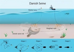 Danish Seine Net,Danish Seine Net Manufacturer | Custom Commercial Fishing Net,PLFISHERY