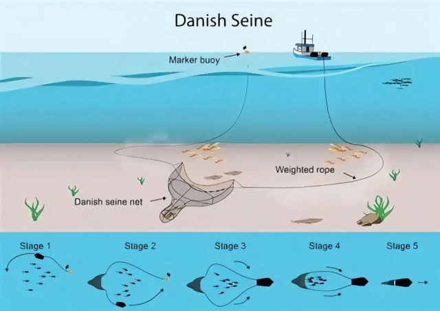 Danish Seine Net,Danish Seine Net Manufacturer | Custom Commercial Fishing Net,PLFISHERY