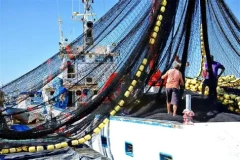Deep-Water Bag Seine Net,Deep-Water Bag Seine Net Manufacturer | Custom Light Fishing Net,PLFISHERY