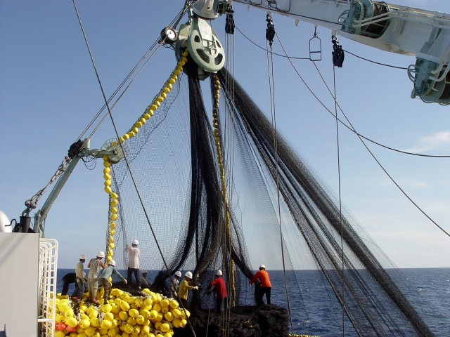 Purse Seine Fishing Net,Purse Seine Net Manufacturer | Nylon & PE Commercial Fishing Net,PLFISHERY
