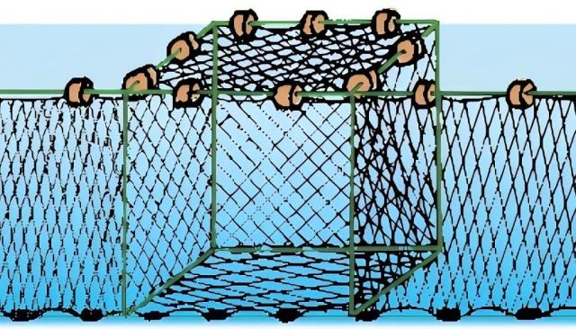 Deep-Water Bag Seine Net,Deep-Water Bag Seine Net Manufacturer | Custom Light Fishing Net,PLFISHERY
