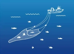 Purse Seine Fishing Net,Purse Seine Net Manufacturer | Nylon & PE Commercial Fishing Net,PLFISHERY