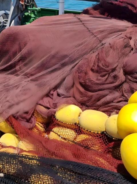 Purse Seine Fishing Net,Purse Seine Net Manufacturer | Nylon & PE Commercial Fishing Net,PLFISHERY