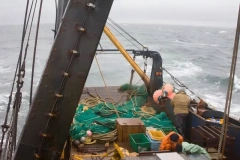 Danish Seine Net,Danish Seine Net Manufacturer | Custom Commercial Fishing Net,PLFISHERY